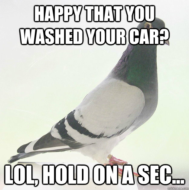 Happy that you washed your car? Lol, Hold on a sec...  