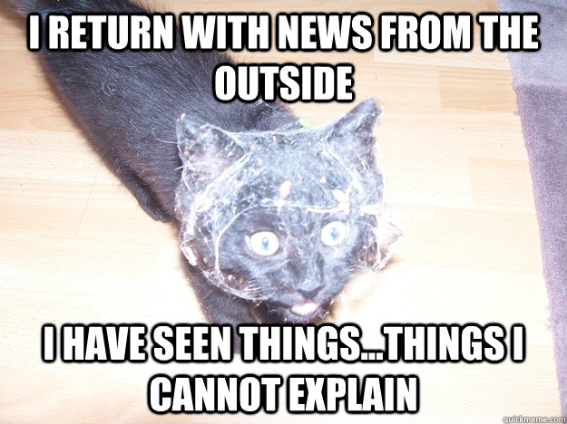 I return with news from the outside I have seen things...things i cannot explain  amazedkitten