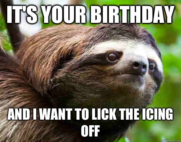 It's your birthday  And I want to lick the icing off   happy birthday sloth