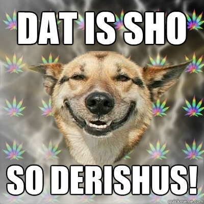 dat is sho so derishus!  Stoner Dog