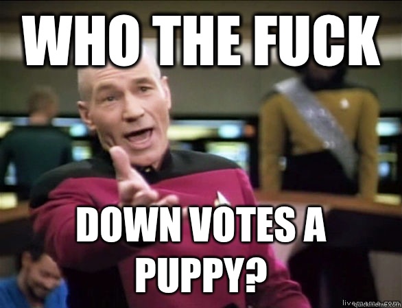 who the fuck Down votes a puppy?  Annoyed Picard HD