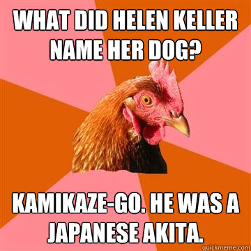 What did helen keller name her dog? Kamikaze-go. He was a japanese akita.  Anti-Joke Chicken