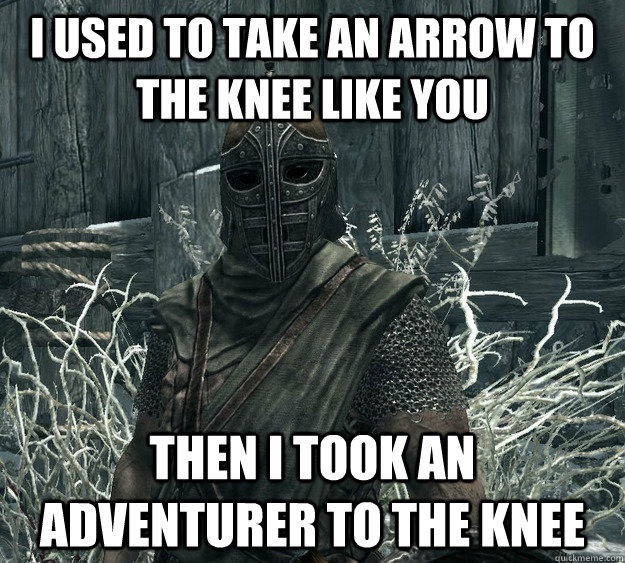 I used to take an arrow to the knee like you Then i took an adventurer to the knee  Skyrim Guard