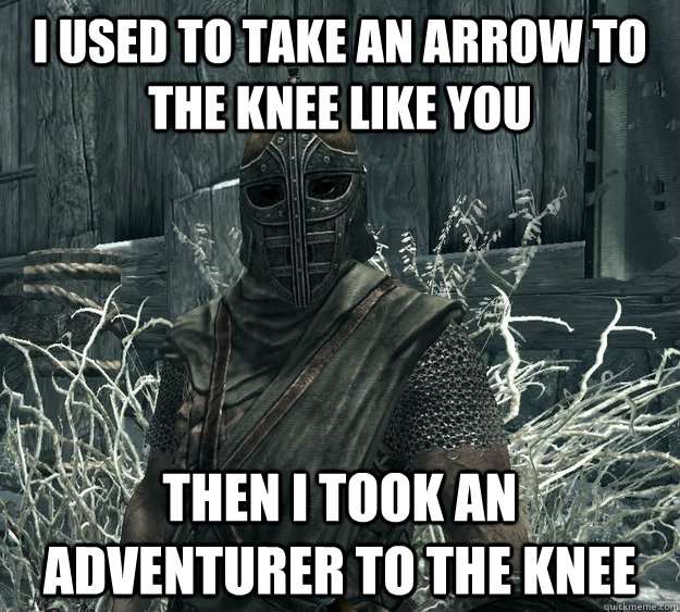 I used to take an arrow to the knee like you Then i took an adventurer to the knee - I used to take an arrow to the knee like you Then i took an adventurer to the knee  Skyrim Guard