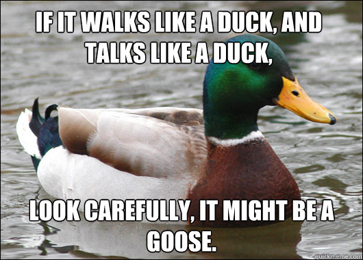 If it walks like a duck, and talks like a duck,  Look carefully, It might be a goose.  Actual Advice Mallard