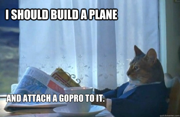 I should build a plane And attach a GoPro to it.  Sophisticated Cat