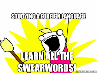 Studying a foreign language learn all the swearwords!  All The Things