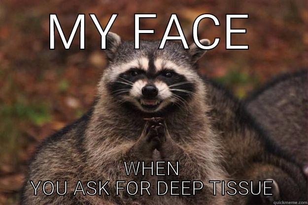 MY FACE WHEN YOU ASK FOR DEEP TISSUE Evil Plotting Raccoon