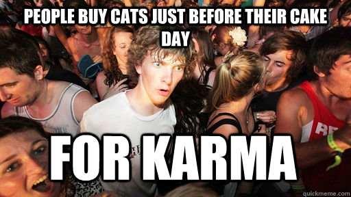 People buy cats just before their cake day for karma  Sudden Clarity Clarence