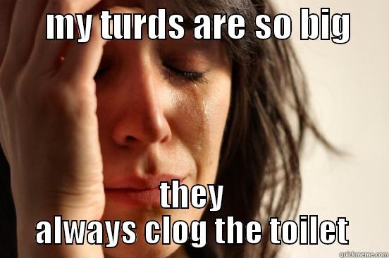       MY TURDS ARE SO BIG      THEY ALWAYS CLOG THE TOILET First World Problems