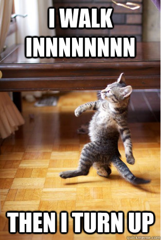 I Walk Innnnnnnn Then I Turn Up - I Walk Innnnnnnn Then I Turn Up  Strutting Cat