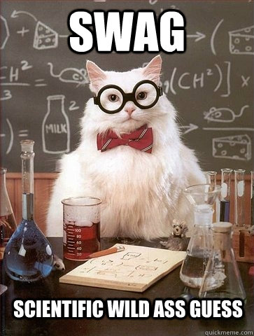SWAG Scientific wild ass Guess - SWAG Scientific wild ass Guess  Chemistry Cat