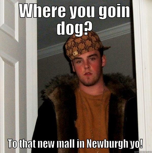 WHERE YOU GOIN DOG? TO THAT NEW MALL IN NEWBURGH YO! Scumbag Steve