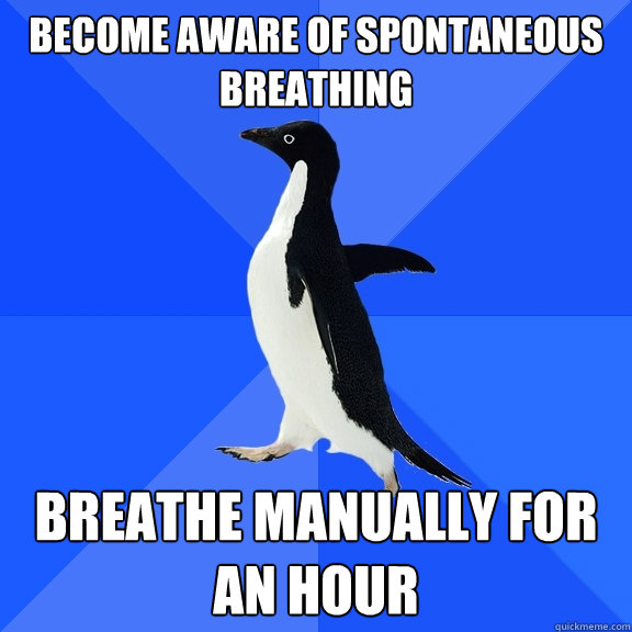 become aware of spontaneous breathing breathe manually for an hour  Socially Awkward Penguin