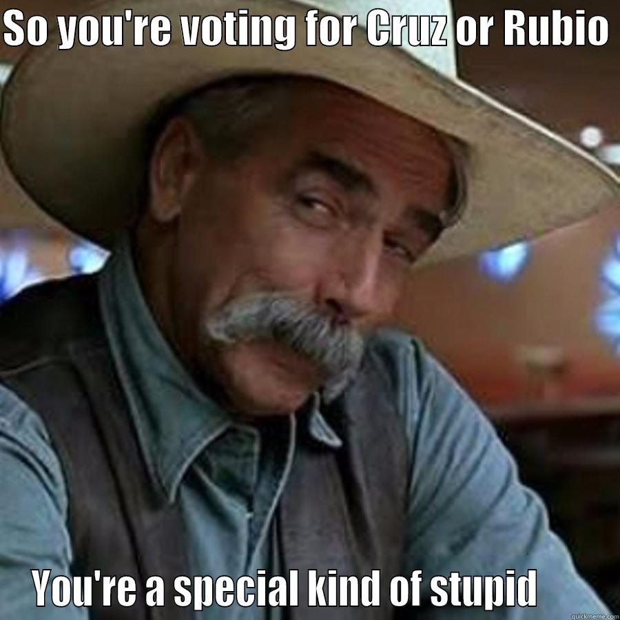 SO YOU'RE VOTING FOR CRUZ OR RUBIO  YOU'RE A SPECIAL KIND OF STUPID       Misc