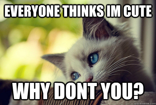 Everyone thinks im Cute Why dont you?  First World Problems Cat