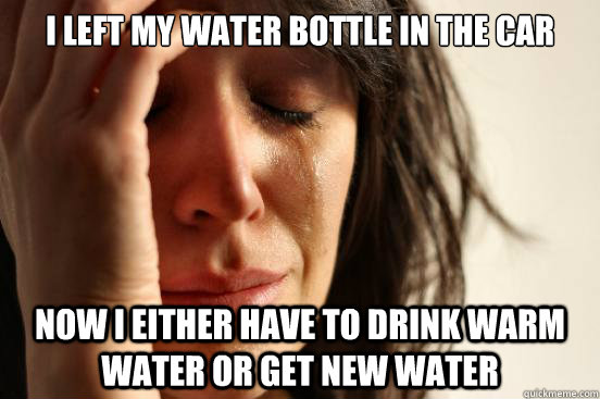 I left my water bottle in the car Now I either have to drink warm water or get new water  First World Problems