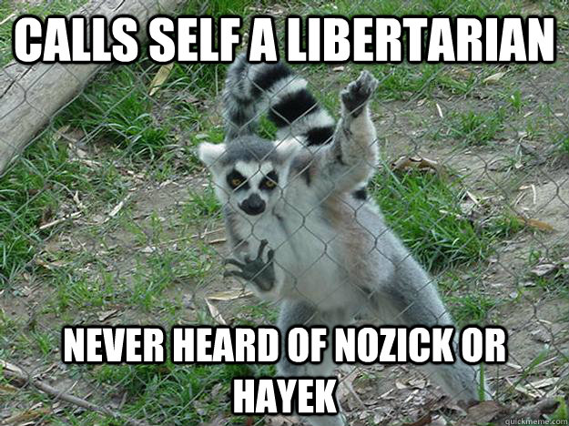 Calls self a libertarian never heard of nozick or hayek - Calls self a libertarian never heard of nozick or hayek  Libertarian Lemur