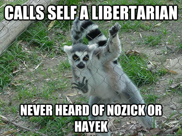 Calls self a libertarian never heard of nozick or hayek  Libertarian Lemur