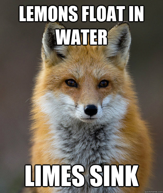 Lemons float in water Limes sink - Lemons float in water Limes sink  Fun Fact Fox
