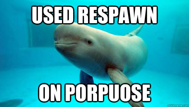 used respawn on porpuose - used respawn on porpuose  non-native english speaking porpoise