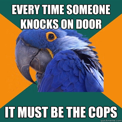 every time someone knocks on door it must be the cops  Paranoid Parrot