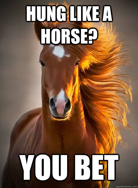 Hung like a horse? you bet - Hung like a horse? you bet  Ridiculously Photogenic Horse