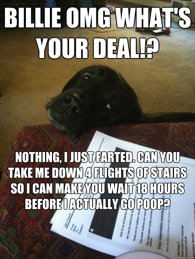 BILLIE OMG What's your deal!? Nothing, I just farted. Can you take me down 4 flights of stairs so I can make you wait 18 hours before I actually go poop?  Concerned Labrador