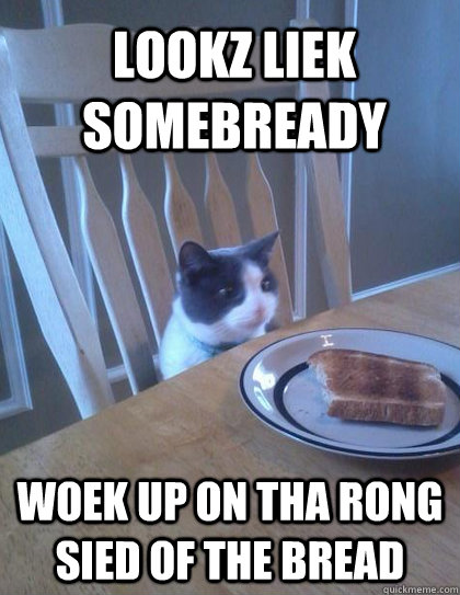 Lookz liek somebready  woek up on tha rong sied of the bread  Breakfast Cat