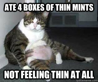 Ate 4 boxes of thin mints  not feeling thin at all  
