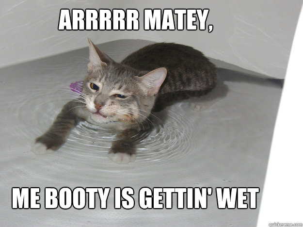 ARRRRR matey, me booty is gettin' wet - ARRRRR matey, me booty is gettin' wet  Misc