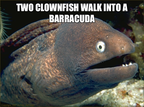 Two clownfish walk into a barracuda   Bad Joke Eel