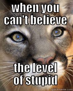 Stuck on Stupid - WHEN YOU CAN'T BELIEVE THE LEVEL OF STUPID Misc