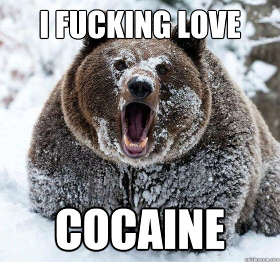 I FUCKING LOVE COCAINE - I FUCKING LOVE COCAINE  Confession Bear