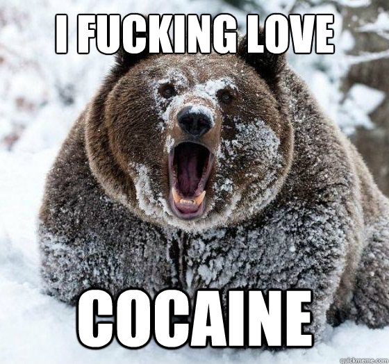 I FUCKING LOVE COCAINE  Confession Bear