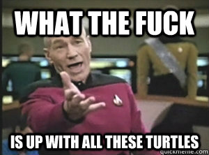 what the fuck  is up with all these turtles  Annoyed picard about shitty watercolor and karmanaut