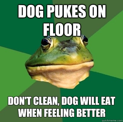 Dog pukes on floor Don't clean, dog will eat when feeling better  Foul Bachelor Frog