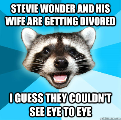 STEVIE WONDER AND HIS WIFE ARE GETTING DIVORED I GUESS THEY COULDN'T SEE EYE TO EYE  Lame Pun Coon