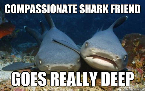 Compassionate Shark Friend goes really deep - Compassionate Shark Friend goes really deep  Compassionate Shark Friend