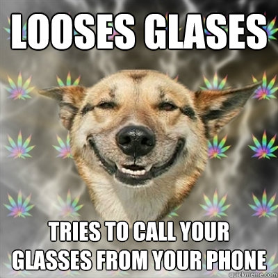 Looses Glases Tries to call your glasses from your phone  Stoner Dog