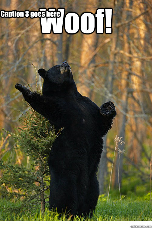 Woof!  Caption 3 goes here - Woof!  Caption 3 goes here  Fabulous Bear