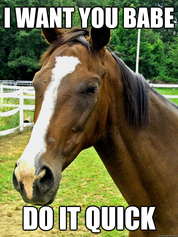 I want you babe do it quick  Horny Horse