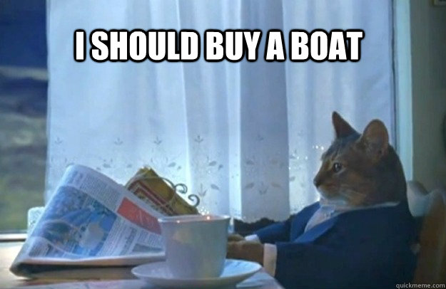 I should buy a boat  Sophisticated Cat