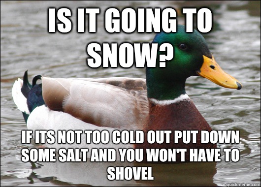 Is it going to snow? If its not too cold out put down some salt and you won't have to shovel  Actual Advice Mallard