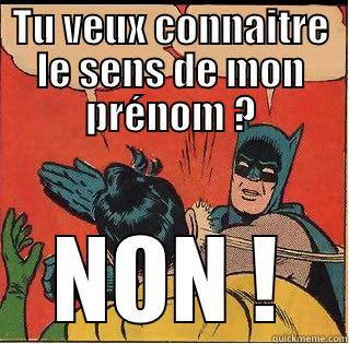 TU VEUX CONNAITRE LE SENS DE MON PRÉNOM ? NON ! Slappin Batman