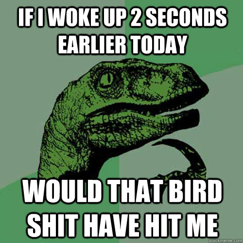 If I woke up 2 seconds earlier today Would that bird shit have hit me - If I woke up 2 seconds earlier today Would that bird shit have hit me  Philosoraptor