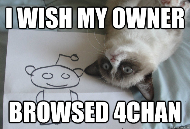 I wish my owner Browsed 4chan - I wish my owner Browsed 4chan  Sudden Clarity Grumpy Cat