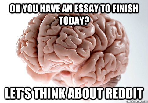 Oh you have an essay to finish today? let's think about reddit  Scumbag Brain