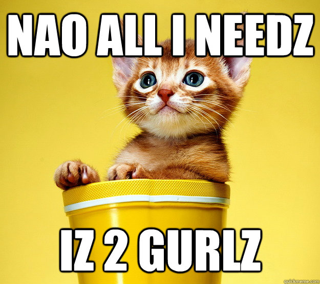 nao all i needz Iz 2 gurlz - nao all i needz Iz 2 gurlz  Contemplative Cat