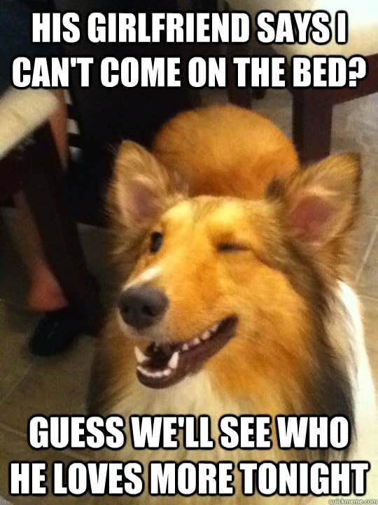 His girlfriend says I can't come on the bed? Guess we'll see who he loves more tonight  implying dog